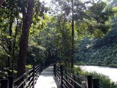 -广州市帽峰山景区