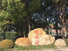 -东方绿舟景区