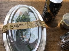 -油梨树AVOCADO TREE(望京店)