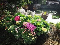 iphone_upload_pic-漫渡庄绿岛花园•隐世庭园菜(滨湖店)