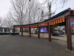 -大兴滨河森林公园