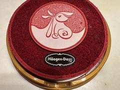 -哈根达斯(朝阳大悦城店)