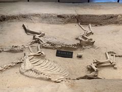 -洛阳周王城天子驾六博物馆