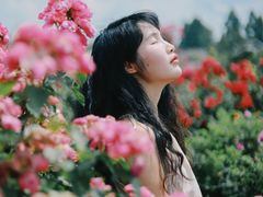 -紫颐香薰山谷景区