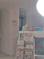 -Beauty Nails 美甲美睫皮肤管理