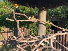 -上海野生动物园