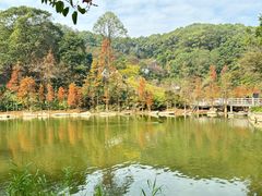 -广州市帽峰山景区