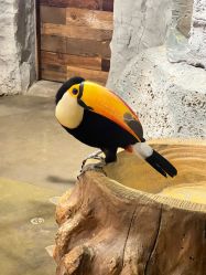 -Zoolung Zoolung动物主题公园(海信广场店)