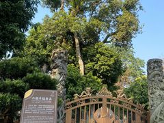 -国恩寺