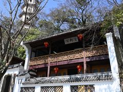 -江心屿景区
