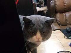 -网鱼电竞·棋牌(五一广场店)