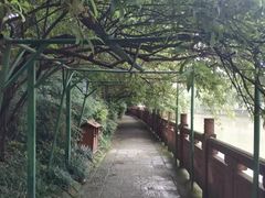 -成都市活水公园