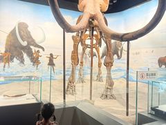 -辽宁古生物博物馆