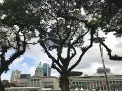 -詹爷爷乌节路街头冰淇淋