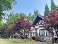 -太阳岛度假酒店