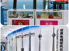 -中央广播电视塔