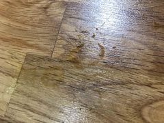 -蜜蜂家的红茶馆(华府店)