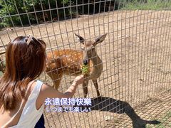 -北京山里寒舍度假酒店