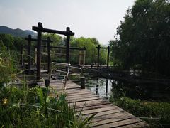-长兴太湖图影湿地文化园