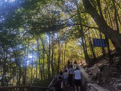 -辋川溶洞