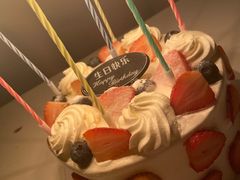 -维尔纳斯·生日蛋糕·动物奶油冰淇淋蛋糕(雨花店)