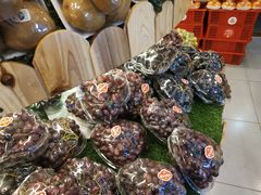 -果果家(兰州甘南路二店)