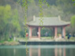 -紫霞湖公园