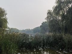 -唐城墙遗址公园