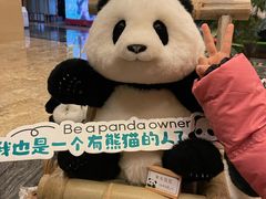 -成都保利公园皇冠假日酒店(熊猫基地店)