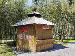 -黄海国家森林公园