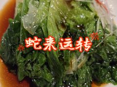 -老阿妈蒙古村·蒙古包·草原文化·歌舞表演(老君堂店)