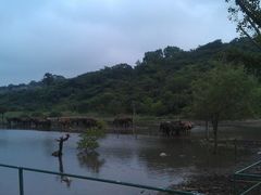 -苏州太湖牛仔风情度假村