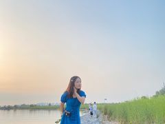 -合肥滨湖国家森林公园