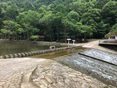 -龙湾潭国家森林公园