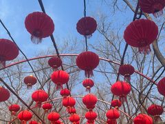 -北京石景山游乐园