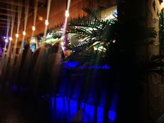 -The Tiki Bungalow提基小木屋酒吧
