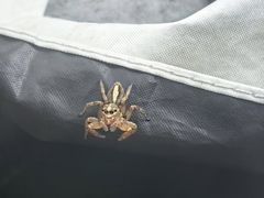 -青峰峡国家森林公园