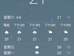 -空中草原