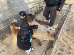 -合肥野生动物园