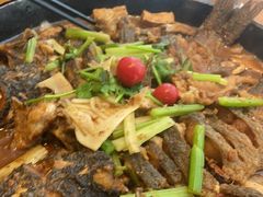 -老板恋上鱼(恒隆广场店)