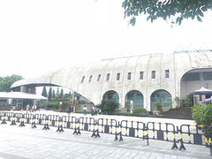 -自贡恐龙博物馆