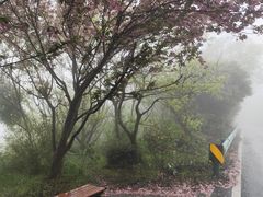 -句容茅山景区