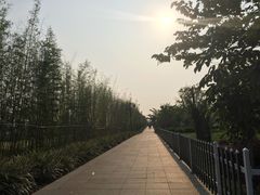 -神光山国家森林公园