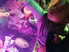 -沈阳海洋探索中心