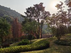 -云溪植物园