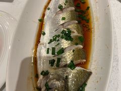 豉油蒸白水鱼-金美华轩(东方路齐鲁店)