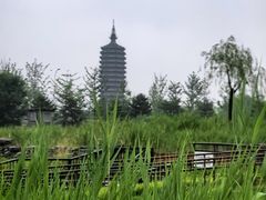 -西海子公园
