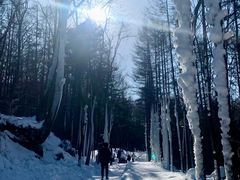 -洛阳白云山景区