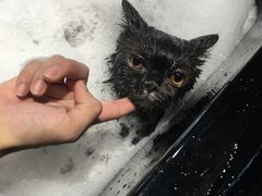 -MOLLY'S萌宠生活馆