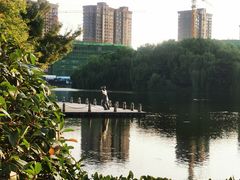 -杭州城北体育公园